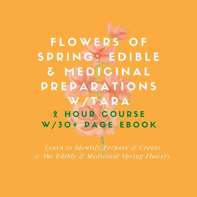 EDIBLE & MEDICINAL FLOWERS OF SPRING COURSE and EBOOK