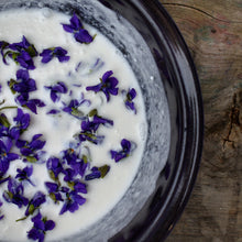 EDIBLE & MEDICINAL FLOWERS OF SPRING COURSE and EBOOK