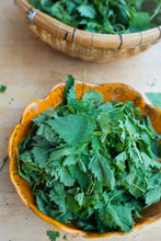 NETTLES & BLOOMS: IN-PERSON CLASS & LUNCH