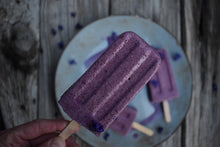 EDIBLE & MEDICINAL FLOWERS OF SPRING COURSE and EBOOK