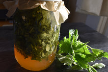 NETTLES & BLOOMS: IN-PERSON CLASS & LUNCH