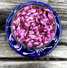 EDIBLE & MEDICINAL FLOWERS OF SPRING COURSE and EBOOK