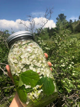 EDIBLE & MEDICINAL FLOWERS OF SPRING COURSE and EBOOK