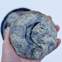 MEDICINAL DESSERT COURSE & EBOOK: How to Make Medicinal, Foraged & Seasonal Treats