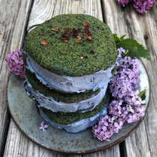 MEDICINAL DESSERT COURSE & EBOOK: How to Make Medicinal, Foraged & Seasonal Treats