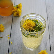 THE SPRING COURSE BUNDLE: Edible & Medicinal Flowers of Spring Course & The Dessert Course & 2 Recipe Ebooks!