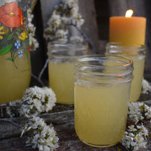 THE SPRING COURSE BUNDLE: Edible & Medicinal Flowers of Spring Course & The Dessert Course & 2 Recipe Ebooks!