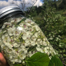THE SPRING COURSE BUNDLE: Edible & Medicinal Flowers of Spring Course & The Dessert Course & 2 Recipe Ebooks!