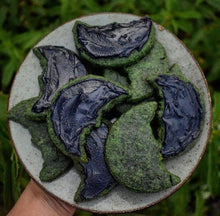 MEDICINAL DESSERT COURSE & EBOOK: How to Make Medicinal, Foraged & Seasonal Treats