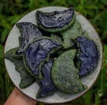 NETTLES: Music, Medicine & Myth