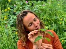 NETTLES: Music, Medicine & Myth