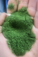 NETTLES & BLOOMS: IN-PERSON CLASS & LUNCH