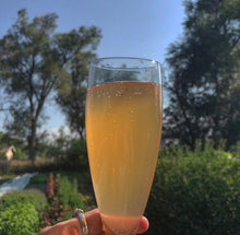 NETTLES: Music, Medicine & Myth