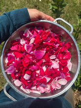 Online Culinary Herbalism Mentorship