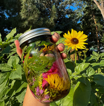 The Medicine Circle In-Person Culinary Herbalism Mentorship May - October 2026