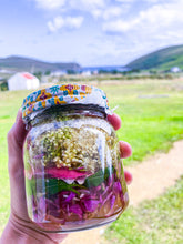 The Medicine Circle In-Person Culinary Herbalism Mentorship May - October 2026