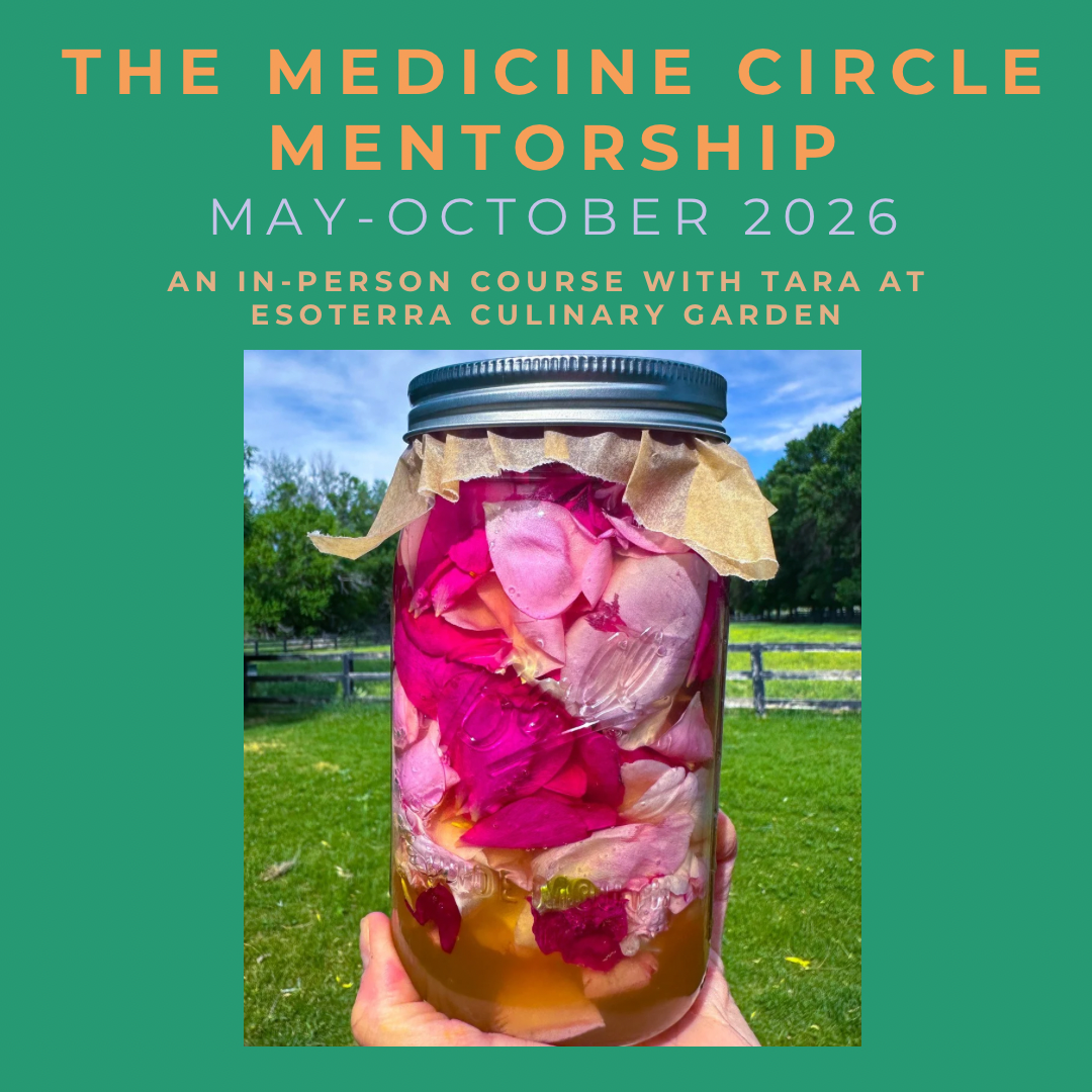 The Medicine Circle In-Person Culinary Herbalism Mentorship May - October 2026