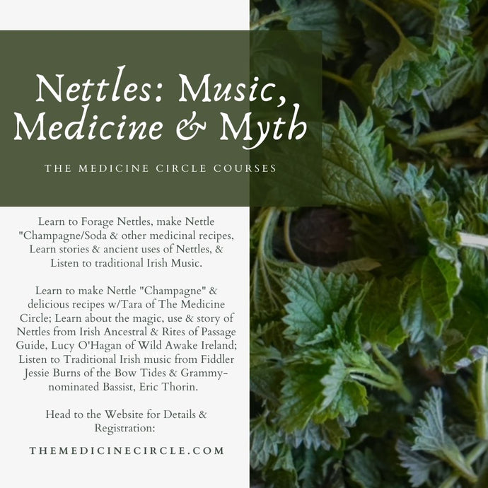 NETTLES: Music, Medicine & Myth