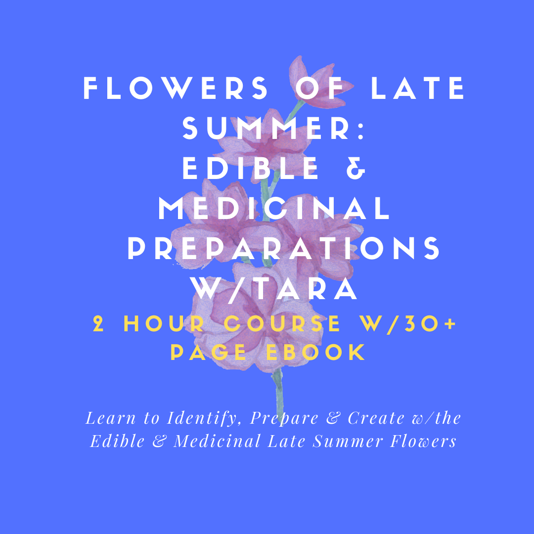 FLOWERS OF LATE SUMMER: EDIBLE & MEDICINAL PREPARATIONS